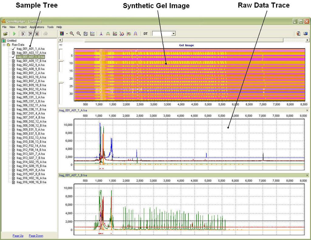 Figura 2: Janela Raw Data Analysis (Análise de dados não tratados).