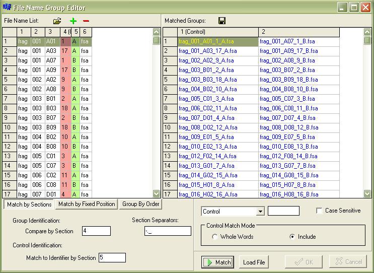 Figura 9: Ecrã File Name Group Editor (Editor do grupo de nomes de ficheiros).