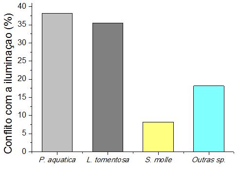 81 Em estudo similar, Mayer (2012) verificou que 18,7% dos indivíduos arbóreos de Irati PR possuíam interferência direta com o cone de iluminação ou apresentavam potencial de conflitos pela