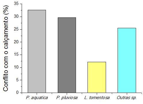 84 Figura 23 - Relação de espécies em conflito com calçadas no acompanhamento viário urbano de Centenário do Sul PR Fonte: O Autor, 2016 Em análise à prática realizada, é importante ressaltar que