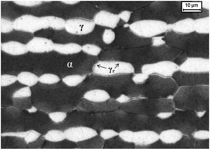 25 Segundo Santos e Magnabosco (2010), este reequilíbrio também pode ser percebido através da análise de micrografias.