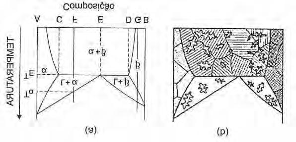 COLUCI, M. A. P 21 Figura 2 - (a) diagrama binário de fases com um único ponto eutético; (b) representações esquematicas das microestruturas possiveis em função da composição de cada liga.