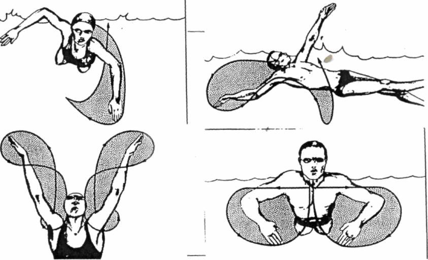 Após as conclusões acima descritas um princípio da aerodinâmica que explica a sustentação do avião no ar (objeto mais pesado que o ar), incorporou-se á natação.