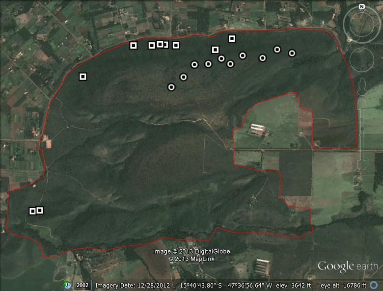 cerrado sentido restrito (círculo) amostrados no Parque Ecológico dos Pequizeiros, Distrito