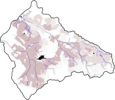 MANCHAS DE MONTADO (SOBREIRO E AZINHEIRA) DENSIDADE