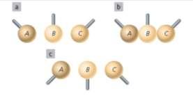 e) As cargas elétricas do próton e do elétron são, em módulo, iguais.
