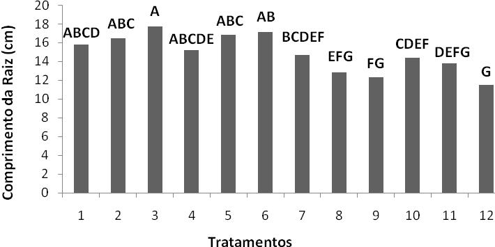 11 recipiente utilizado, destacando o tratamento T3 com maior valor médio (17.73 cm).