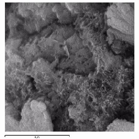 28 de junho a 1º de julho de 2004 Curitiba-PR 6 Figura 4 Micrografia eletrônica de varredura da