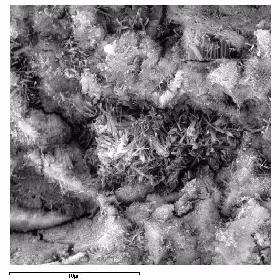 Figura 5 Micrografia eletrônica de varredura da superfície de fratura do concreto CLS aos 28 dias.