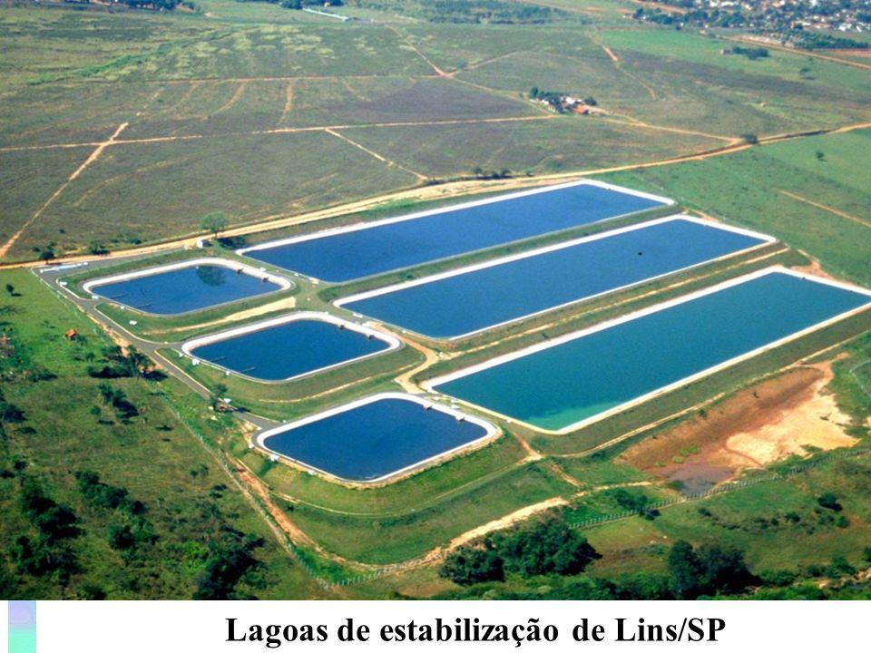 Lagoas de estabilização Lagoas de estabilização Camadas superiores: condições
