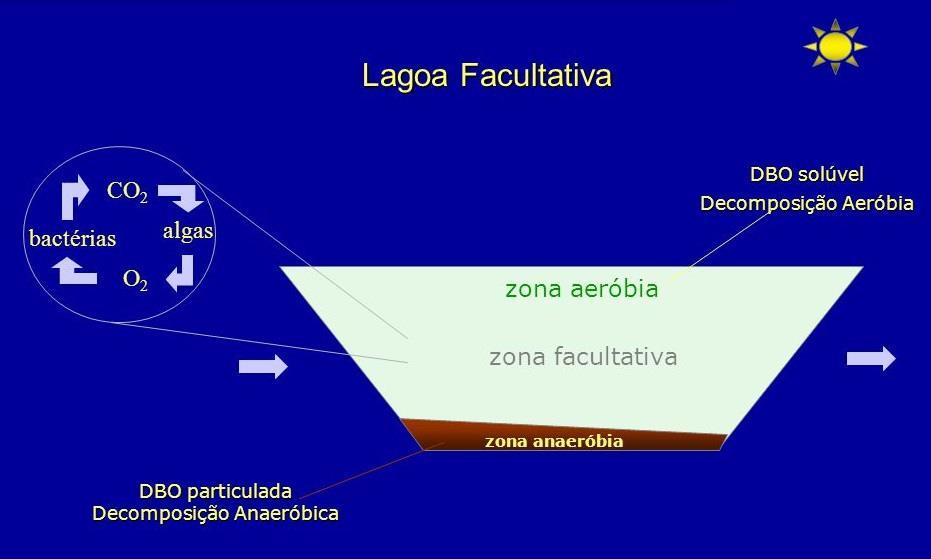 Lagoas de estabilização Lagoa facultativa Processos puramente naturais Simples e