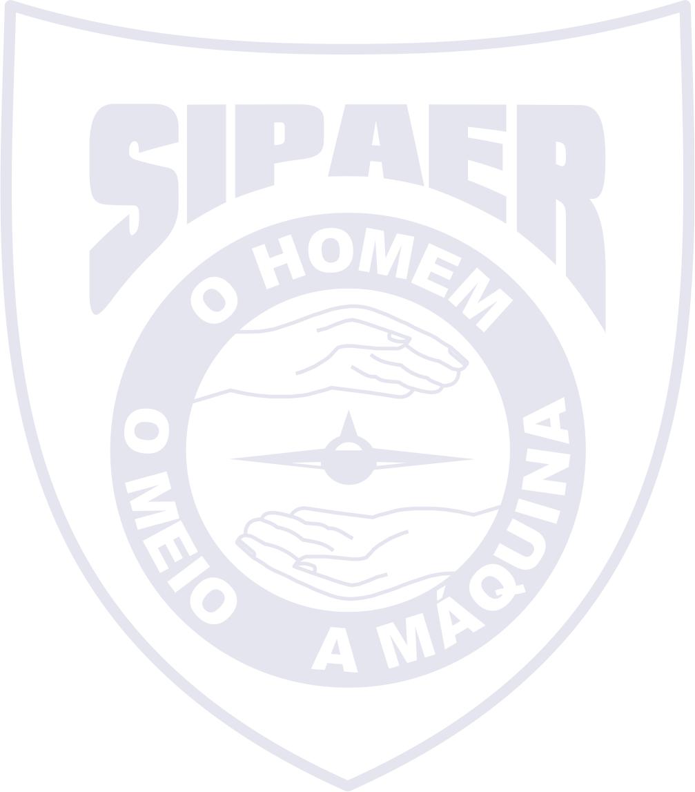 FORMRFS0417 COMANDO DA AERONÁUTICA CENTRO DE INVESTIGAÇÃO E PREVENÇÃO DE ACIDENTES AERONÁUTICOS 1.