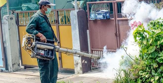 Controle do mosquito (eliminação de sítios