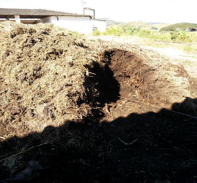 Compostagem em leiras ou células Construção das pilhas de compostagem para verificação da viabilidade de micro-organismos indicadores testados durante o