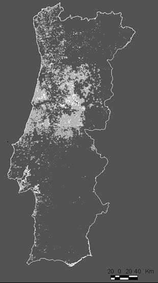 ESTRATÉGIA NACIONAL PARA AS FLORESTAS Proteção