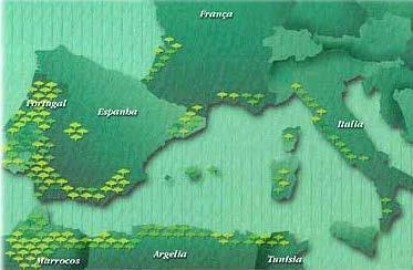 Montado de sobro ESTRATÉGIA NACIONAL PARA