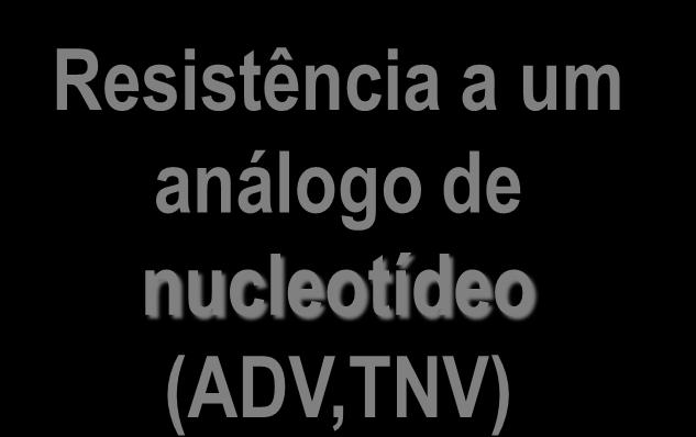 nucleotídeo (ADV,TNV) Adiciona um