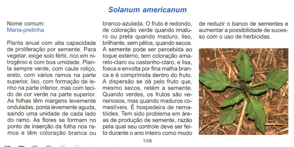 Nome comum: Maria-pretinha Planta anual com alta capacidade de proliferação por semente. Para vegetar, exige solo fértil, rico em nitrogênio e com boa umidade.