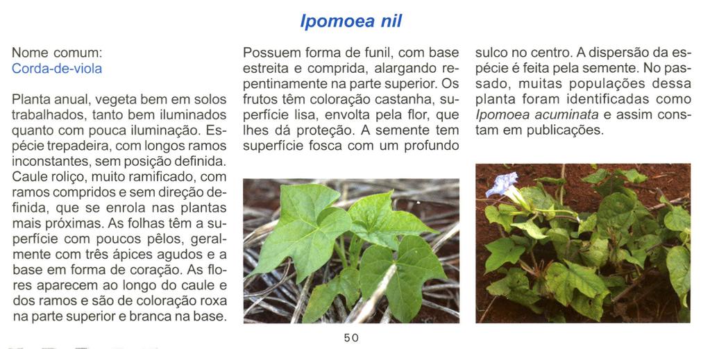 Nome comum: Corda-de-viola Planta anual, vegeta bem em solos trabalhados, tanto bem iluminados quanto com pouca iluminação. Espécie trepadeira, com longos ramos inconstantes, sem posição definida.