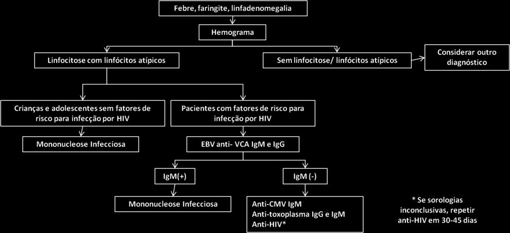 5 Figura 1 - Algoritmo Diagnóstico: Síndromes de Mononucleose REFERÊNCIAS 1. Aronson MD, Auwaerter PG. Infectious mononucleosis in adults and adolescents. UpToDate. Online 20.