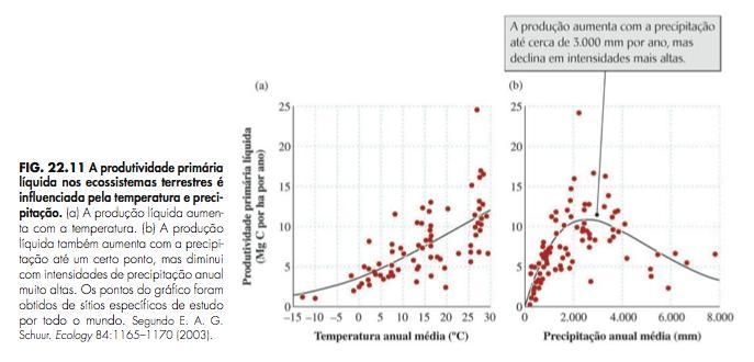 Produção