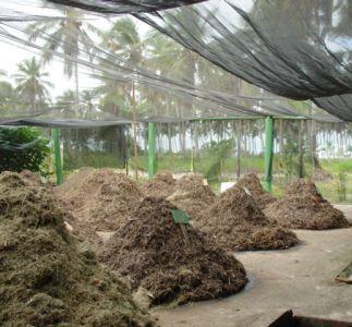 biofertilizante em um laboratório credenciado