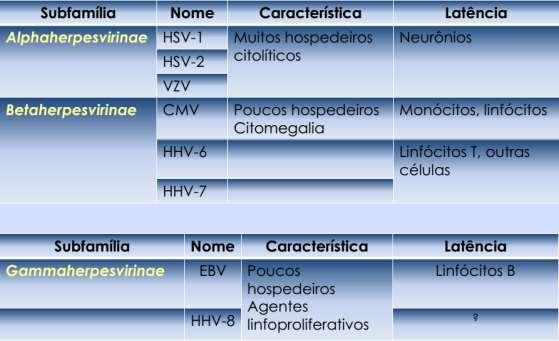 FAMILIA Herpesviridae Herpesvírus: genoma de DNA linear de fita dupla, capsídeo icosaédrico e