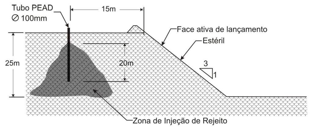 topo do depósito. O processo de injeção pode ser realizado em furos verticais (Figura 2. 28) e/ou furos inclinados (Figura 2. 29).