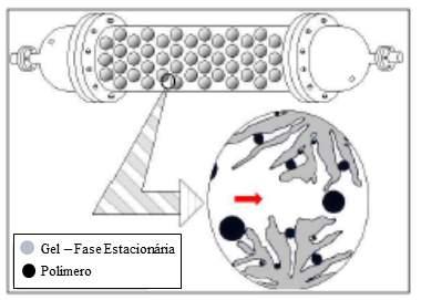 Capítulo 4 - Unidade Experimental, Procedimento e Resultados Experimentais (LUCAS et al., 2001). Nesta técnica, a separação ocorre exclusivamente por conta do tamanho molecular.