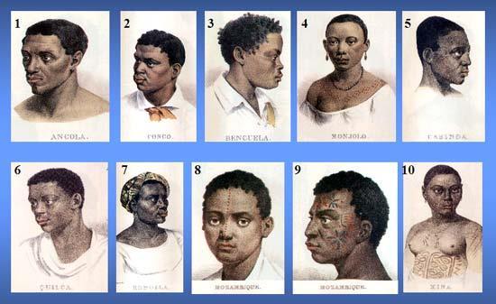 O TRÁFICO NEGREIRO O negro foi trazido da África para o Brasil porque os portugueses necessitavam de divisas para o seu comércio internacional e não havendo