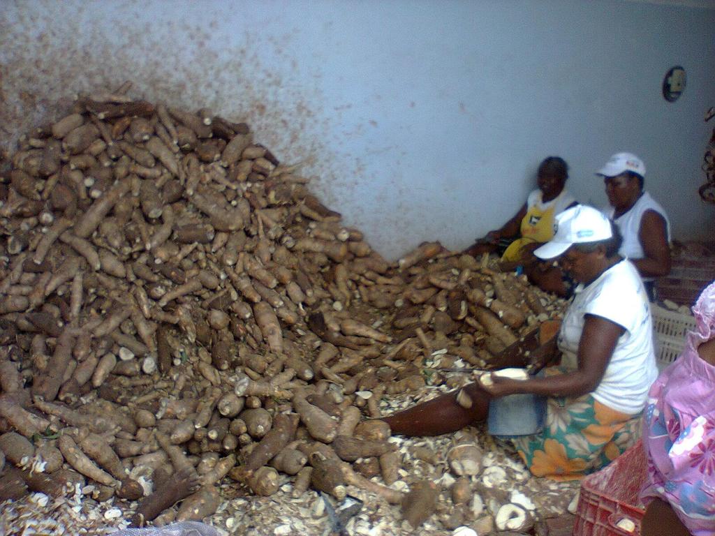 A atividade econômica principal é o cultivo e