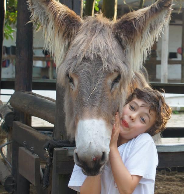 duração: 120 min preço: 5 aluno VISITA TEMÁTICA e alimentação aos animais + PASSEIO NO CAVALO escolha uma das seguintes visitas 1 no cesto do capuchinho vermelho.