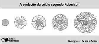 Envoltórios Celulares - Membrana Membrana plasmática- encontrada em todas as células. A membrana celular é semelhante em todos os organismo.