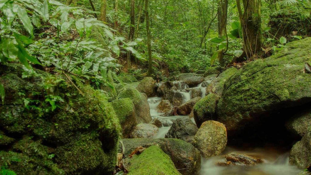 Sustentabilidade e Responsabilidade Social 100% dos efluentes tratados Reaproveitamento de água de chuva e drenagem Aproveitamento de iluminação natural Cogeração de energia Os