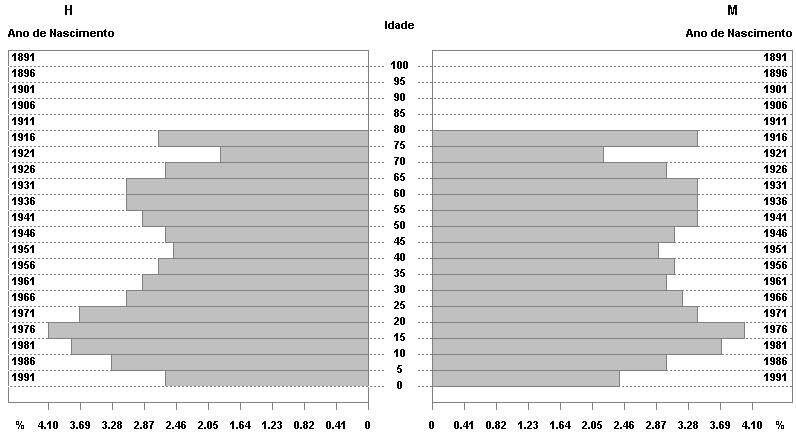 Gráfico 10 Estrutura Etária da