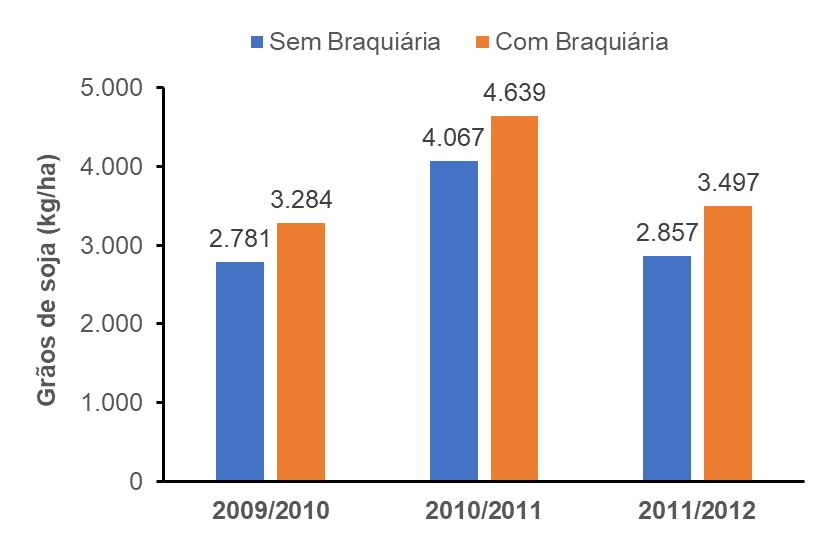 Solo biologicamente ativo é mais produtivo!! Rio Verde, GO.