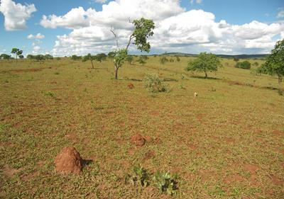 Fazenda