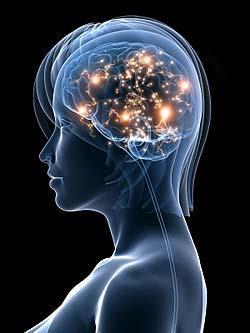 Cérebro molecular - nível molecular A atividade cerebral é realizada por meio de neurotransmissores.