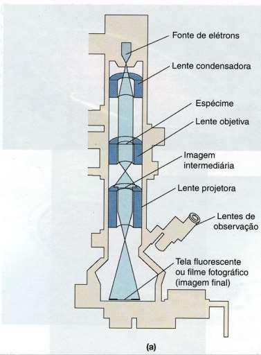 Observação das