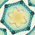 DNA dupla fita linear Adenovírus Herpesvíus