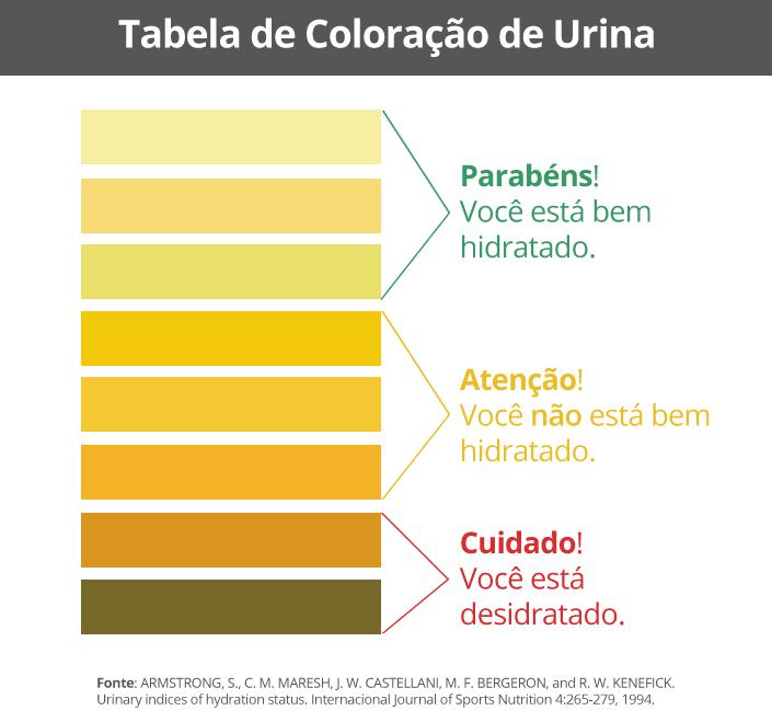 O sistema excretor dos estudantes aumentou a produção do ADH, hormônio antidiurétic o, que elevou a