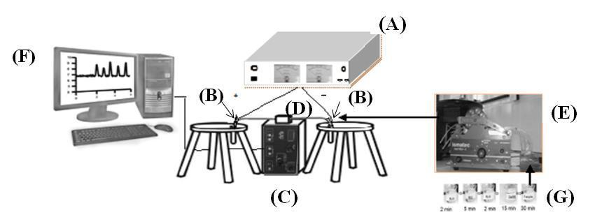 J. S. Teles et al., Scientia Plena 9, 77213 (213) 5 eletrolítica para fechar o circuito. O condicionamento do capilar fora feito com o auxílio de uma bomba peristáltica (Figura 1E e 1G).