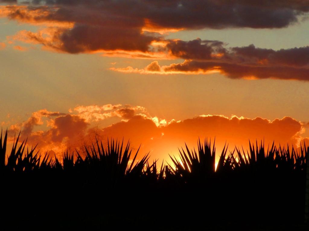 Boletim da SAJAR Este pôr do sol pode estar por um fio O novo Plano Diretor prevê mudanças radicais nas imediações do Jardim Recreio... justamente aí onde vemos este Pôr do sol.