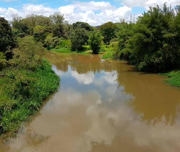 Comitê das Bacias Hidrográficas dos Rios Piracicaba, Capivari e Jundiaí - PCJ FEDERAL vo disposição em contrário, serão tomadas por aclamação ou, em sua impossibilidade, por maioria simples dos