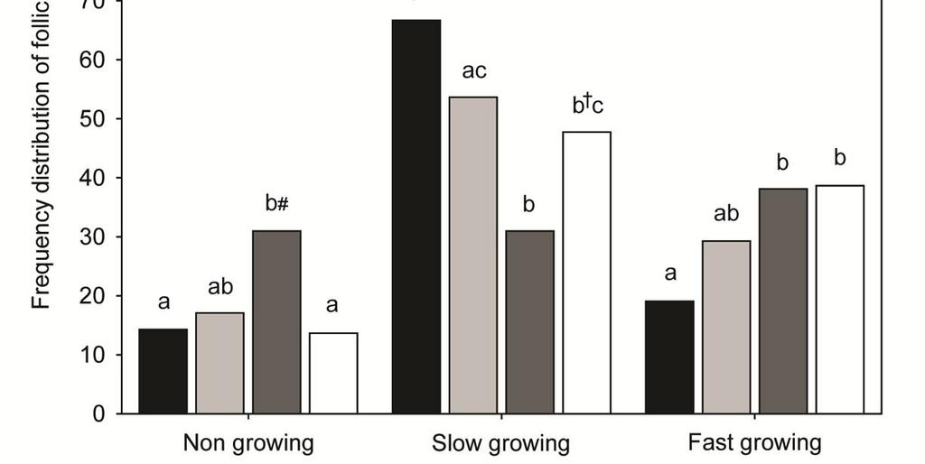 77 Figure 5. (A) Representation of follicles (n = 169) classified according to growth rate in non-, slow-, and fast-growing.