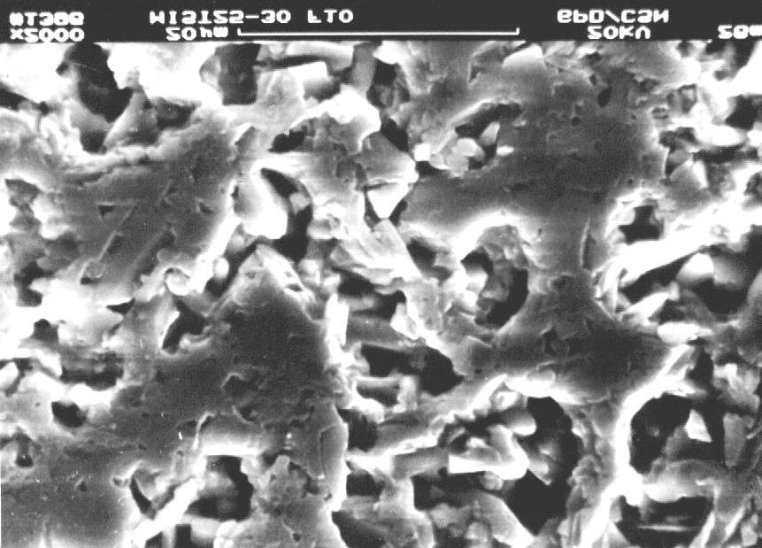 Figura 28: Microestrutura obtida por microscopia eletrônica de varredura mostrando o aspecto típico das amostras com SiC e formadores da fase β-sialon.