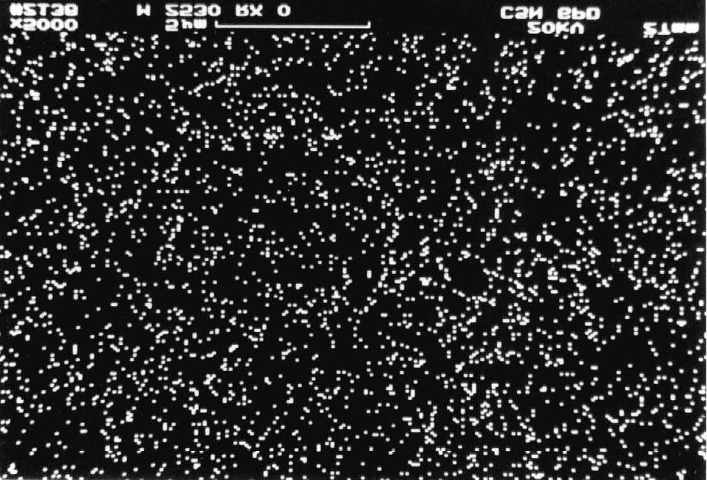 A figura 32 mostra as fotos do mapeamento (figuras 32A até 32D) e o espectro de EDX (figura 32E) da amostra da mistura M25 da sinterização S30, M2530, que abrangem toda a área da foto.