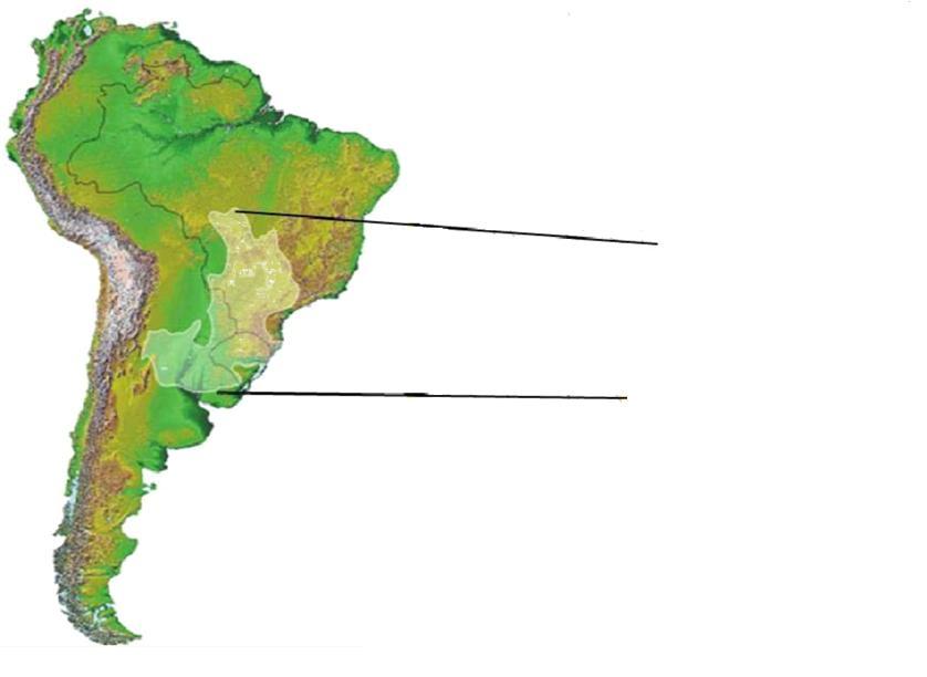 22 direção NNE-SSO (1.750 Km de comprimento) com uma largura média de 900 Km, ocupando cerca de 1.500.000Km 2 de área, disposta predominantemente no centro-sul do Brasil (1.100.