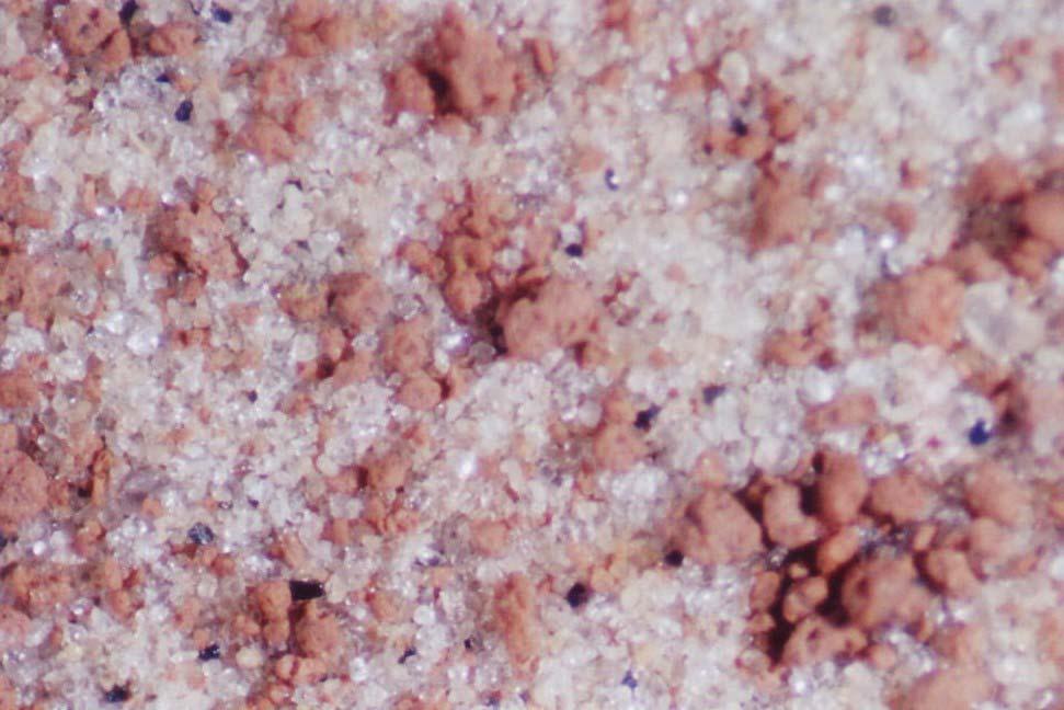 176 1 mm Figura 8.13 Material contaminado Ensaio 4, C 1, depois do ensaio de sedimentação (material retido na #400). 1 mm Figura 8.14 - Material contaminado Ensaio 4, C 1, depois do ensaio de sedimentação (material retido na #400).