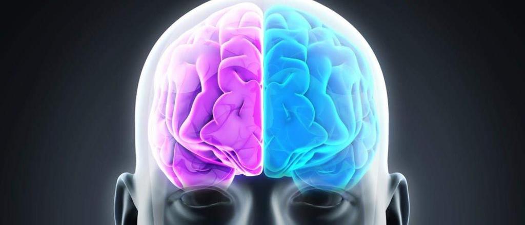 Hemisférios cerebrais e processos mentais do cérebro LADO ESQUERDO DO CÉREBRO Controla o lado direito do corpo, estimula a lógica, a análise, a linearidade etc.